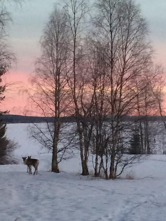 Ahosen Lomamoekit Villa Vikajärvi Kültér fotó